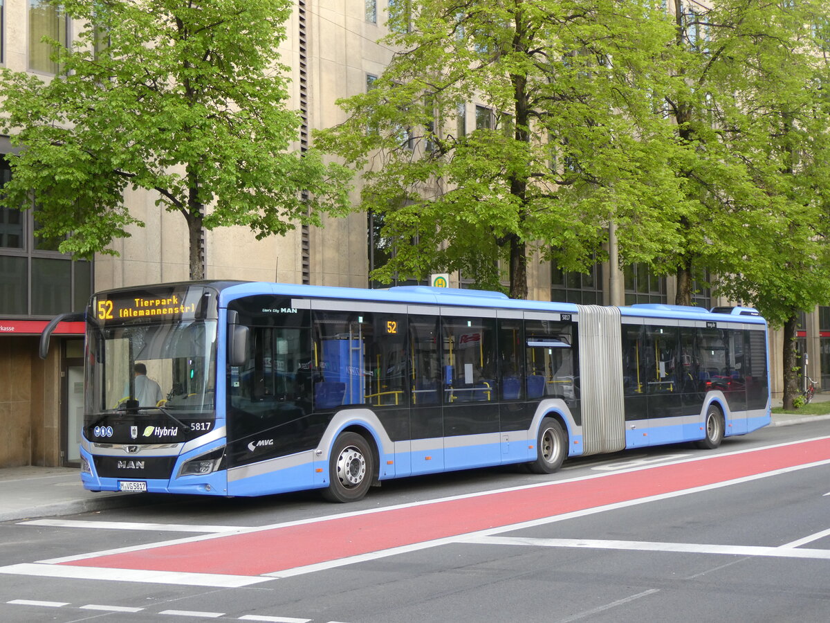 (261'427) - MVG Mnchen - Nr. 5817/M-VG 5817 - MAN am 14. April 2024 in Mnchen, Sendlinger Tor