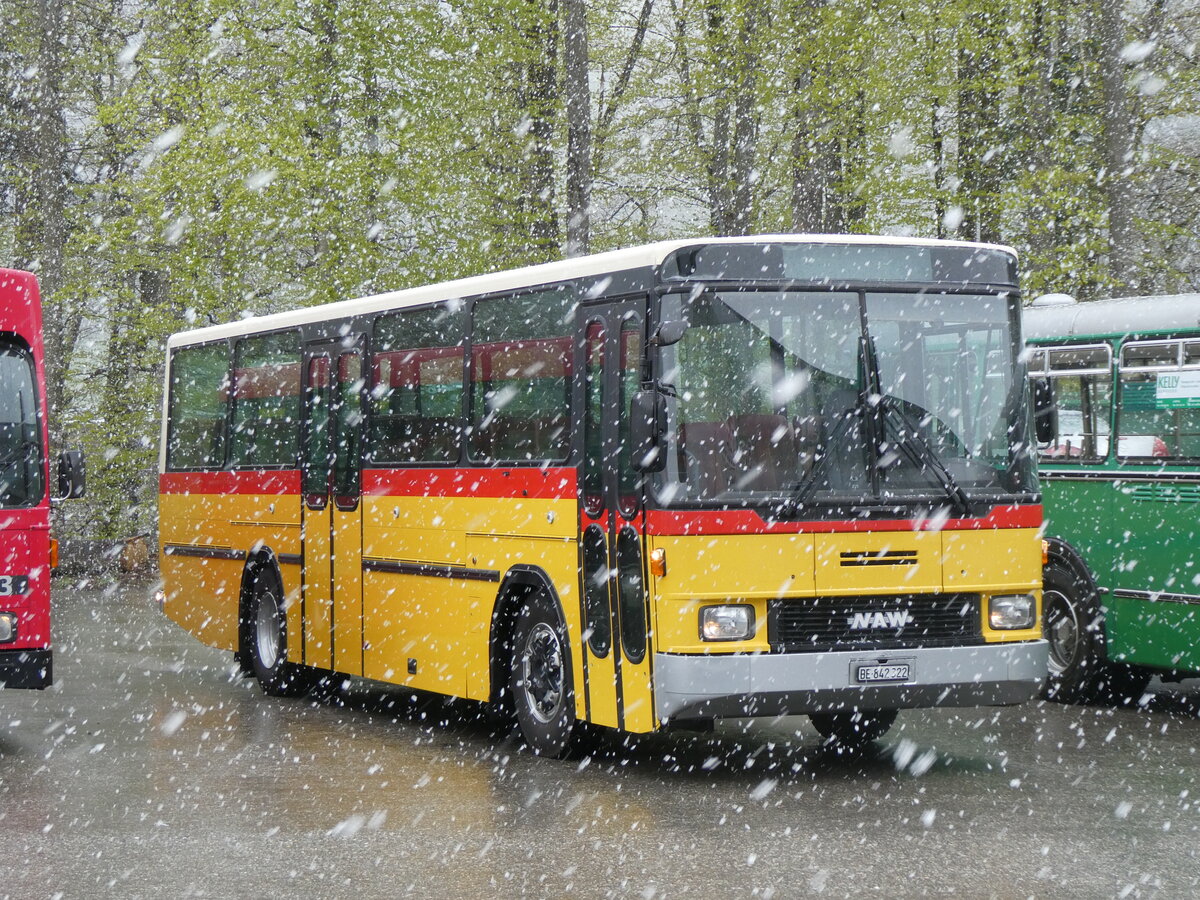 (261'605) - Widmer, Bern - BE 842'322 - NAW/Hess (ex Lombardi, Winterthur; ex Wohlgemuth, Hochwald PID 2208) am 21. April 2024 in Burgdorf, kihof Ziegelgut