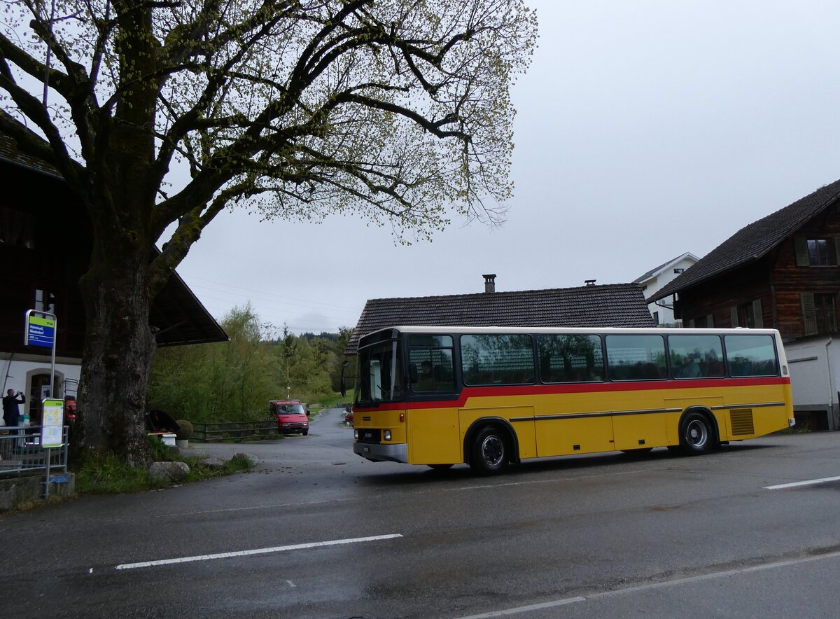 (261'635) - Widmer, Bern - BE 842'322 - NAW/Hess (ex Lombardi, Winterthur; ex Wohlgemuth, Hochwald PID 2208) am 21. April 2024 in Heimiswil, Niederdorf