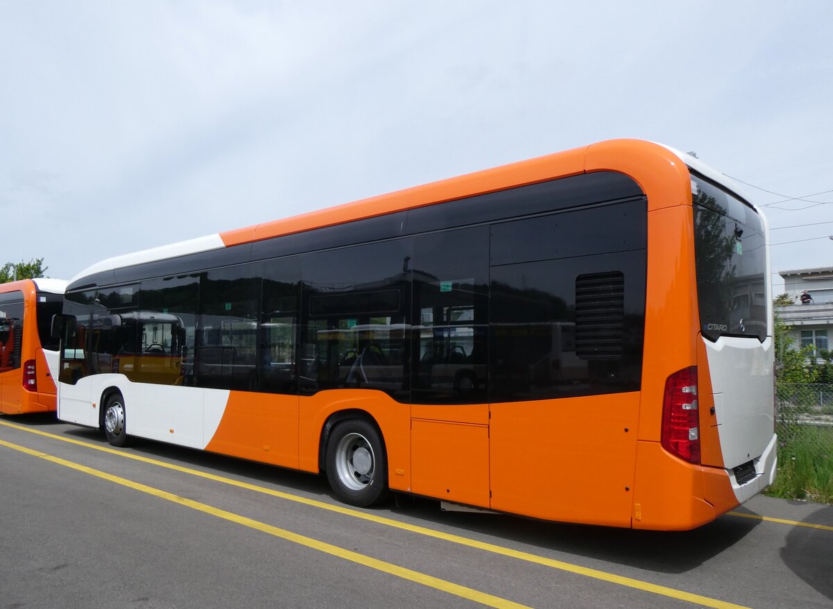 (262'112) - Globe-Limo, Le Lignon - (144'374) - eMercedes am 4. Mai 2024 in Winterthur, Daimler Buses