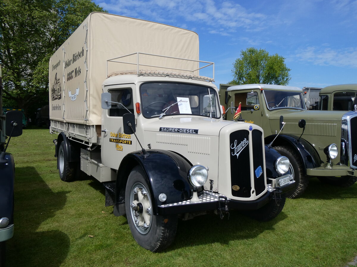(262'936) - B�rtsch, Mels - SG 388'008 - Saurer am 25. Mai 2024 in Arbon, Arbon Classics