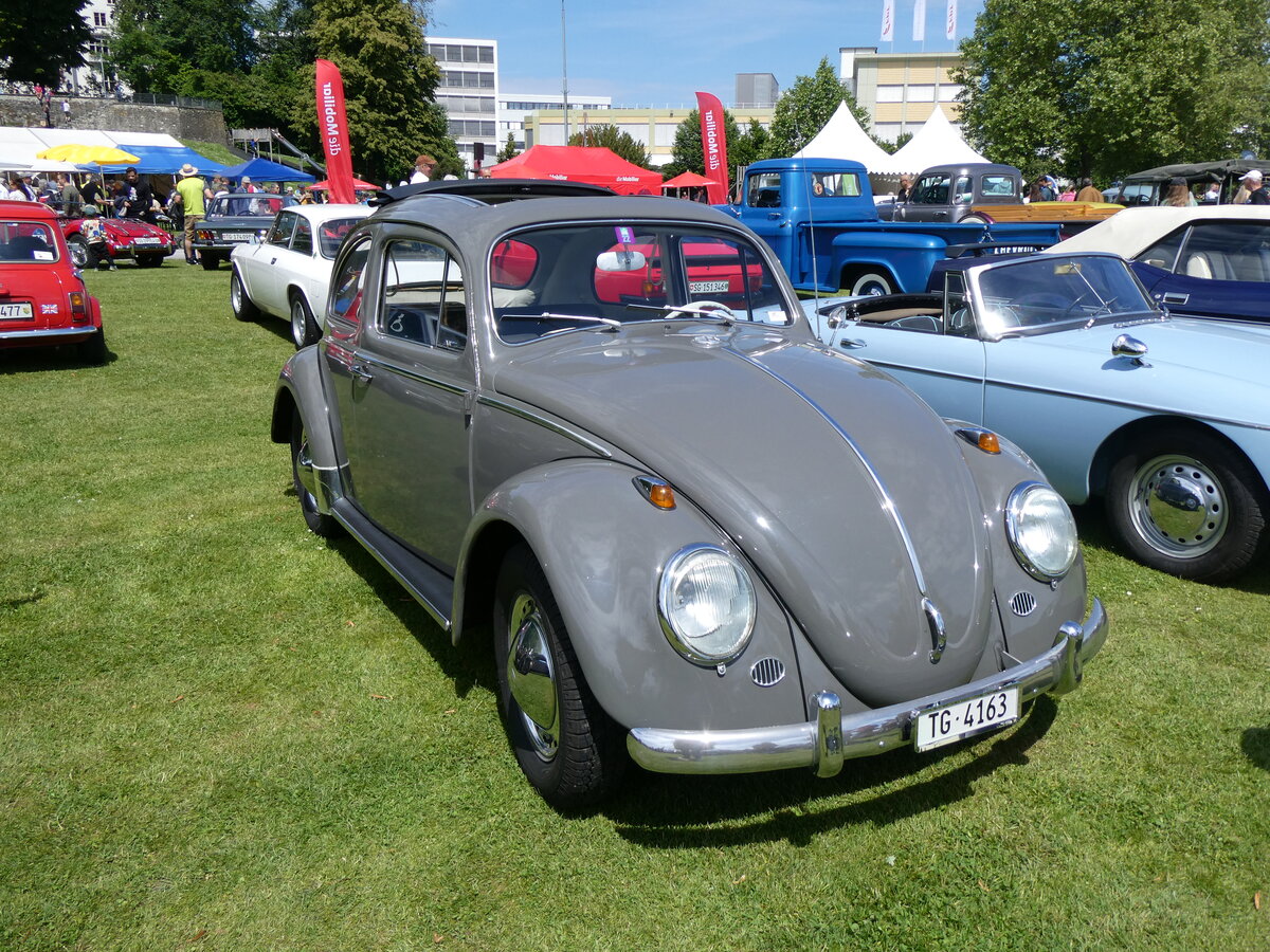 (263'024) - VW-K�fer - TG 4163 - am 25. Mai 2024 in Arbon, Arbon Classics