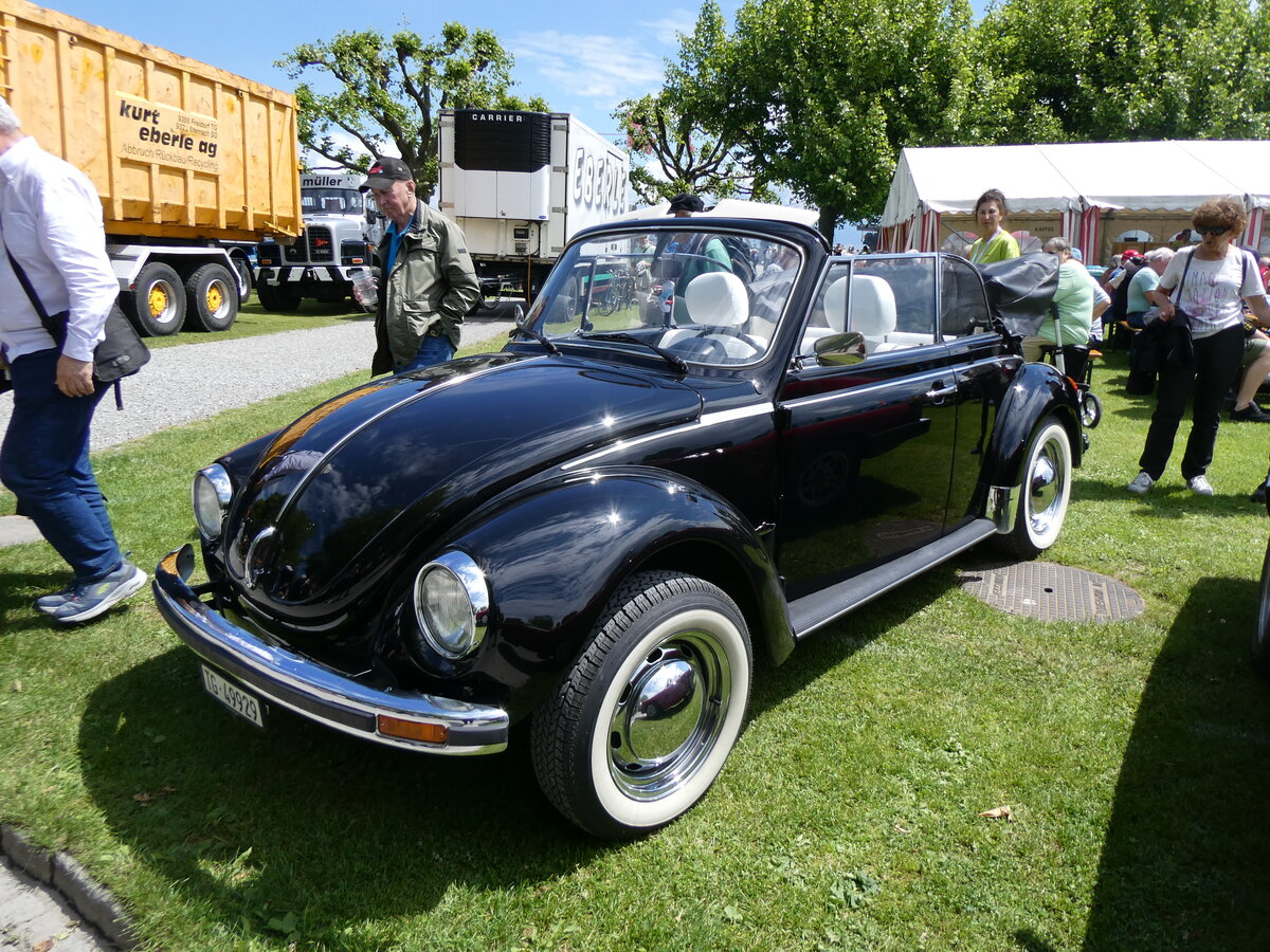(263'086) - VW-K�fer - TG 49'929 - am 25. Mai 2024 in Arbon, Arbon Classics