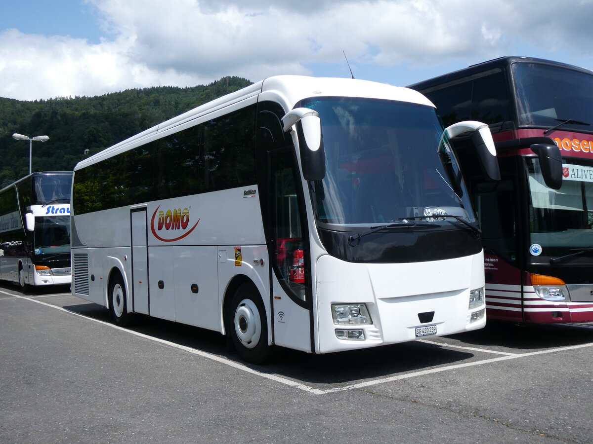 (264'979) - Domo, Glattbrugg - SG 420'939 - MAN am 24. Juli 2024 in Thun, Seestrasse