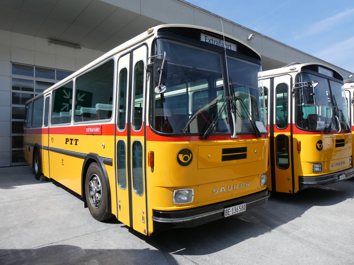 (266'424) - Schumacher, Liebefeld - BE 136'580 - Saurer/Tscher (ex Zimmermann, Niederwangen; ex P 24'289) am 31. August 2024 in Oberkirch, CAMPUS Sursee