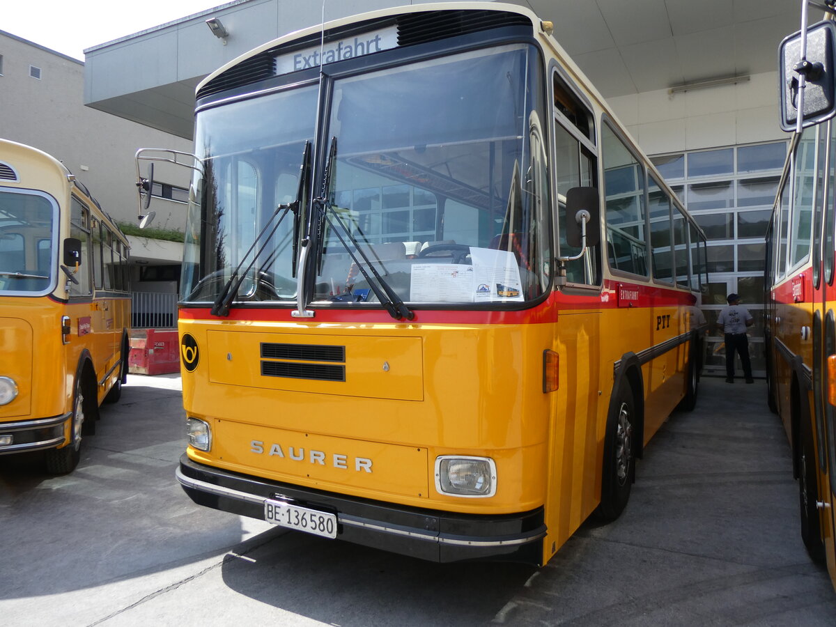 (266'427) - Schumacher, Liebefeld - BE 136'580 - Saurer/Tscher (ex Zimmermann, Niederwangen; ex P 24'289) am 31. August 2024 in Oberkirch, CAMPUS Sursee