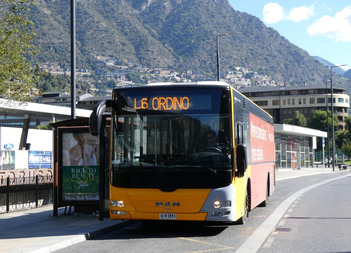 (267'280) - Coopalsa, Andorra la Vella - M3991 - MAN am 19. September 2024 in Andorra la Vella, Estaci Nacional Autobusos