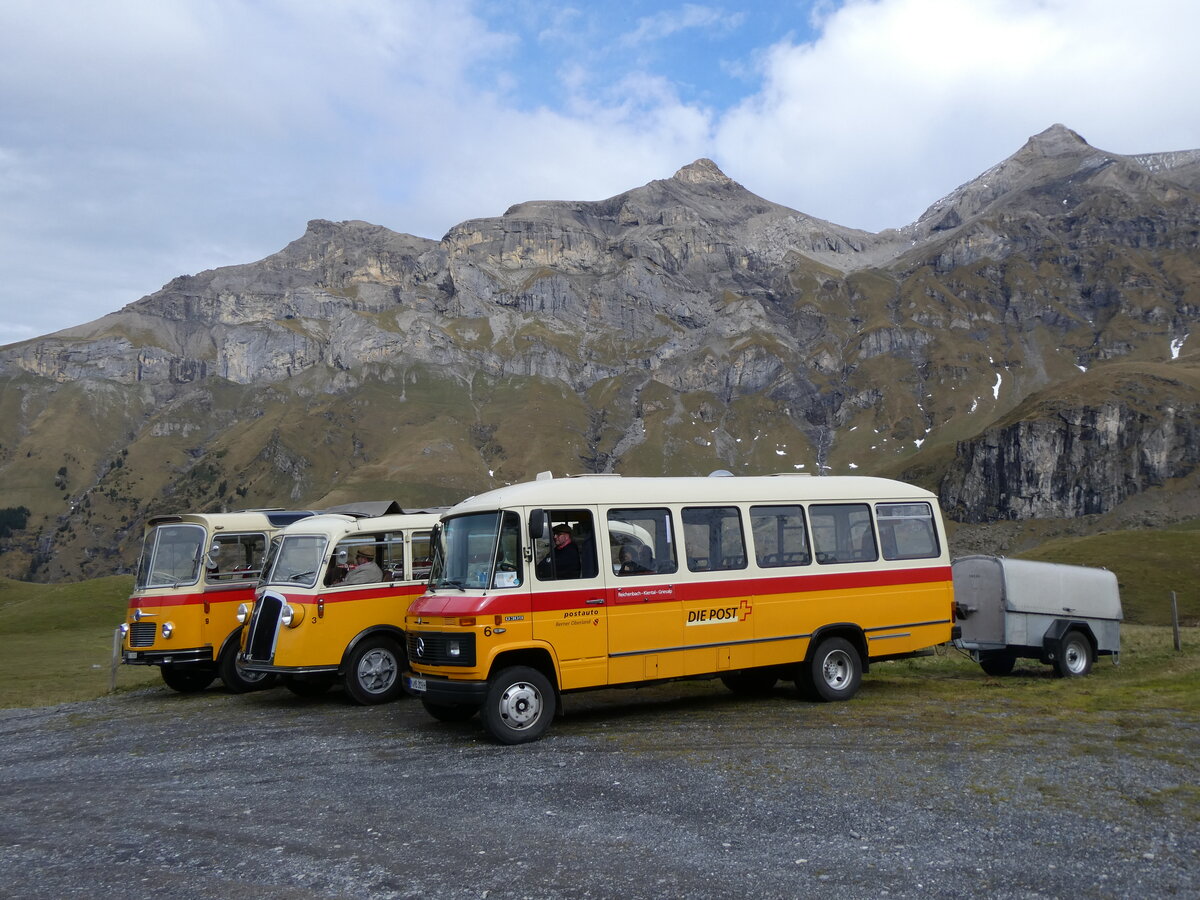 (268'112) - Aus Deutschland: Hahn, Mnchen - Nr. 6/M-MB 309H - Mercedes (ex Mller, CH-Ennetmoos Nr. 6; ex Portenier, CH-Adelboden Nr. 6/PID 492; ex Geiger, CH-Adelboden Nr. 6) am 12. Oktober 2024 auf dem Bundlger