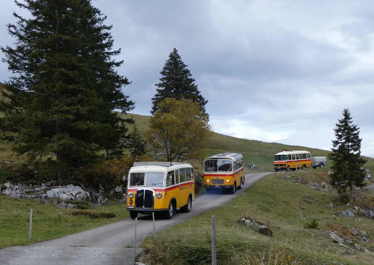 (268'120) - Schmid, Thrishaus - Nr. 3/BE 26'760 - Saurer/Gangloff (ex Geiger, Adelboden Nr. 3) + Nr. 9/BE 26'105 - Saurer/R&J (ex Geiger, Adelboden Nr. 9) + aus Deutschland: Hahn, Mnchen - Nr. 6/M-MB 309H - Mercedes (ex Mller, CH-Ennetmoos Nr. 6; ex Portenier, CH-Adelboden Nr. 6/PID 492; ex Geiger, CH-Adelboden Nr. 6) am 12. Oktober 2024 bei der Bundalp