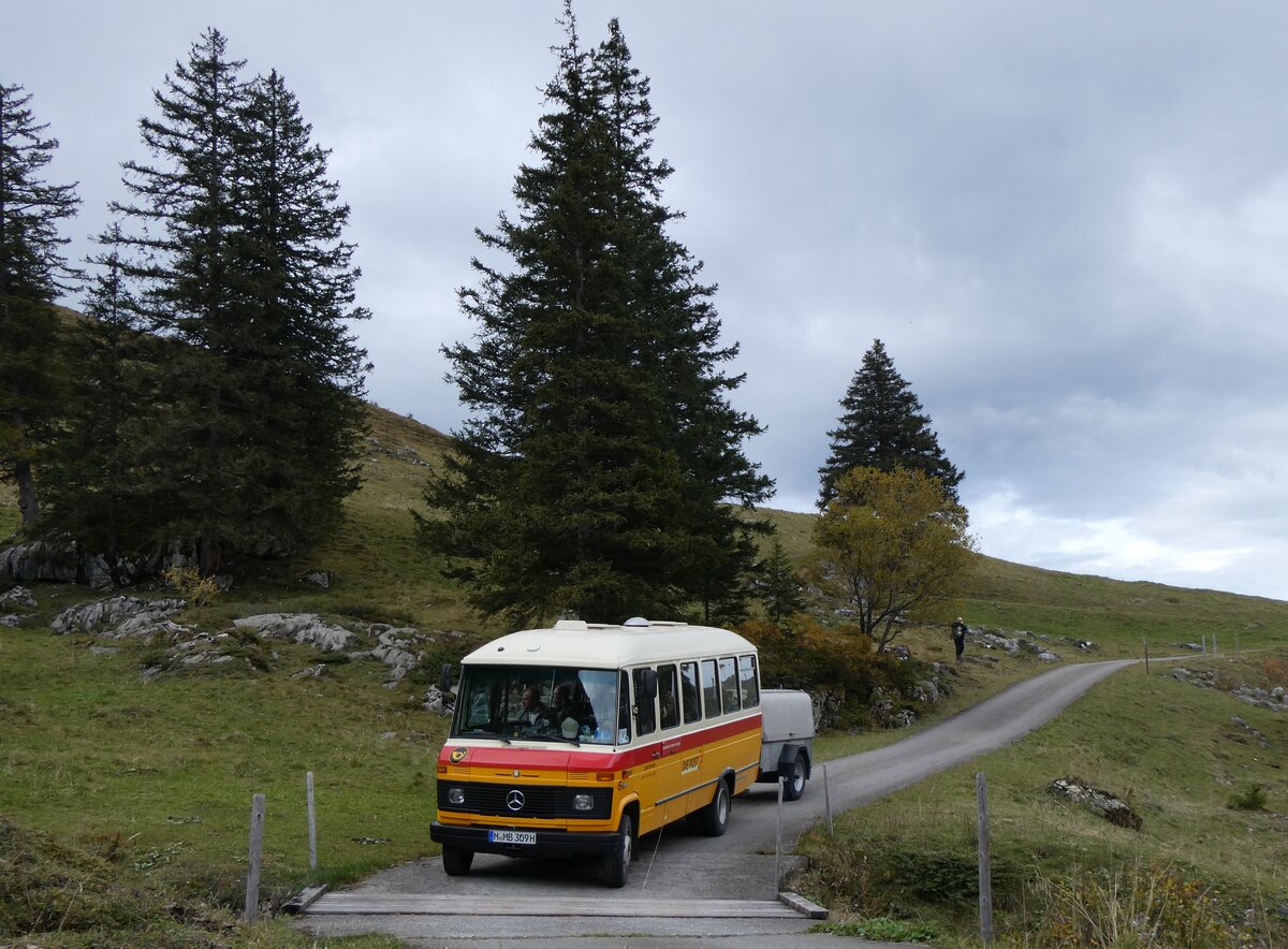 (268'126) - Aus Deutschland: Hahn, Mnchen - Nr. 6/M-MB 309H - Mercedes (ex Mller, CH-Ennetmoos Nr. 6; ex Portenier, CH-Adelboden Nr. 6/PID 492; ex Geiger, CH-Adelboden Nr. 6) am 12. Oktober 2024 bei der Bundalp