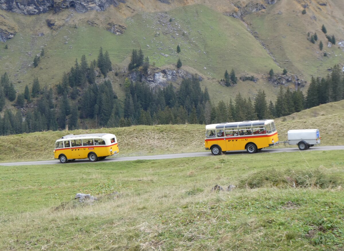 (268'129) - Schmid, Thrishaus - Nr. 3/BE 26'760 - Saurer/Gangloff (ex Geiger, Adelboden Nr. 3) + Nr. 9/BE 26'105 - Saurer/R&J (ex Geiger, Adelboden Nr. 9) am 12. Oktober 2024 bei der Bundalp