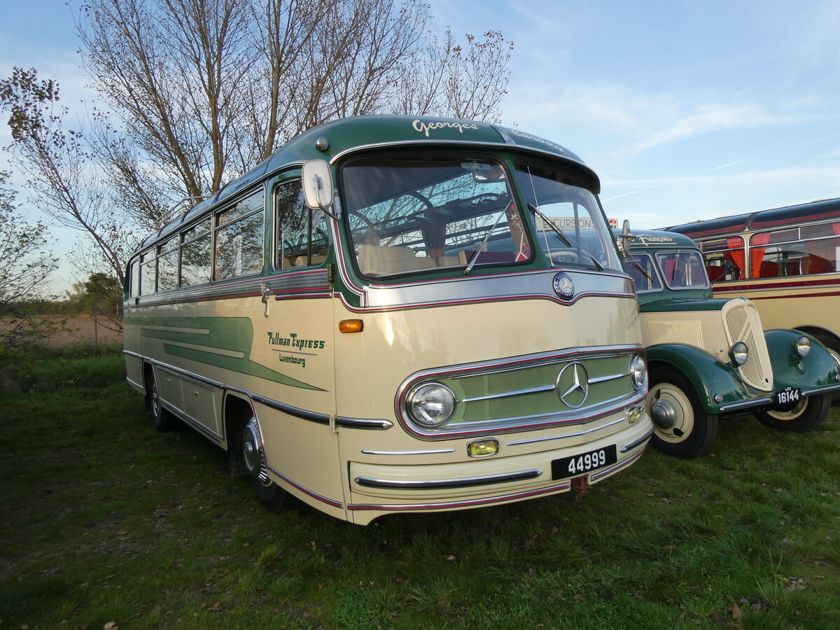 (268'462) - Aus Luxemburg: Carbon, Luxembourg - 44'999 - Mercedes am 25. Oktober 2024 in Kintzheim, Cigoland