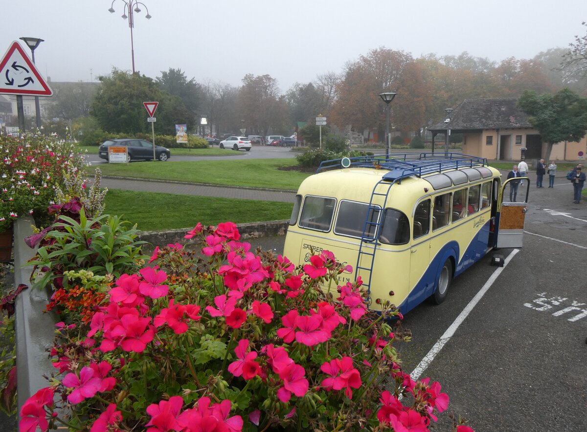 (268'532) - Flecher, Ohnenheim - DZ 507 MG - Saurer/Di Rosa am 26. Oktober 2024 in Ribeauvill, Parkplatz