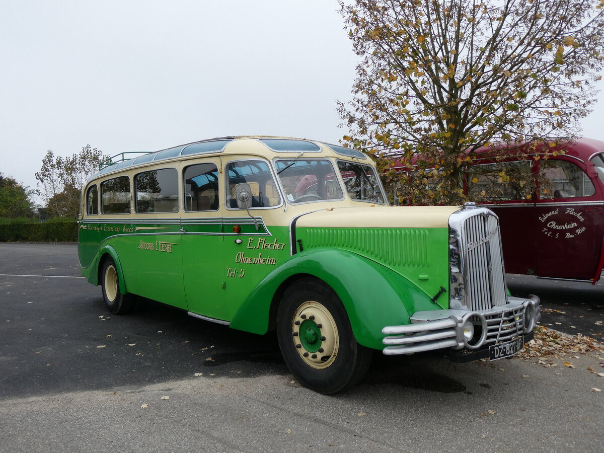 (268'587) - Flecher, Ohnenheim - DZ 827 AF - Saurer/Gangloff Colmar am 26. Oktober 2024 in Kintzheim, Cigoland