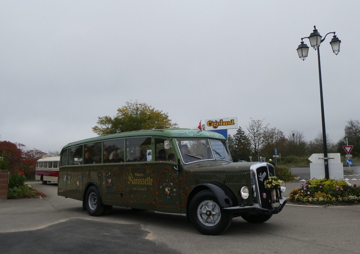 (268'615) - Aus der Schweiz: Lorenz, Lyssach - BE 2548 U - Saurer/Saurer (ex Geiger, Adelboden Nr. 8; ex P 1997) am 26. Oktober 2024 in Kintzheim, Cigoland