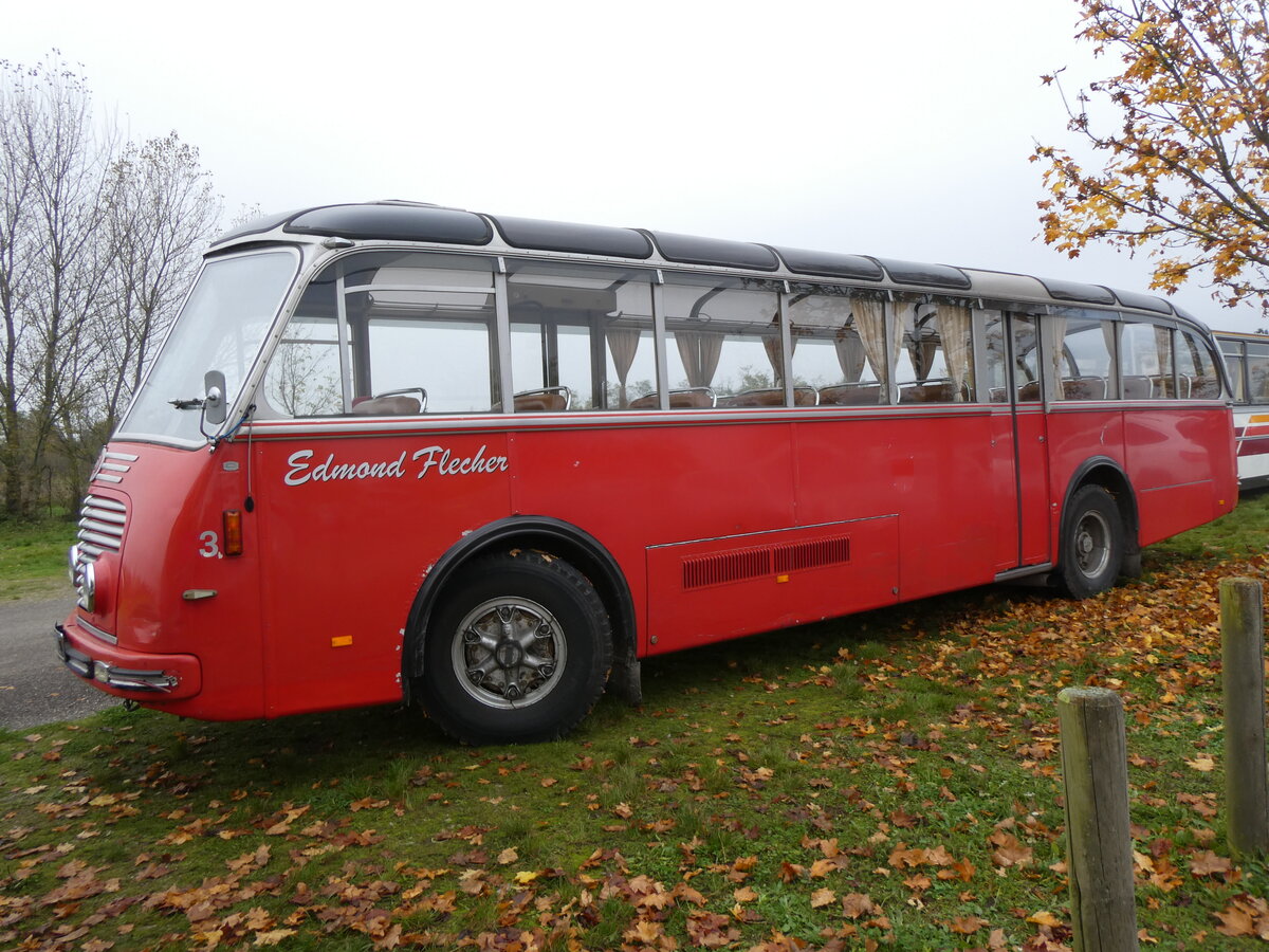 (268'636) - Flecher, Ohnenheim - Nr. 17/DZ 781 VL - FBW/Gangloff (ex FRAM Drachten/NL Nr. 17; ex AFA Adelboden/CH Nr. 3) am 26. Oktober 2024 in Kintzheim, Cigoland