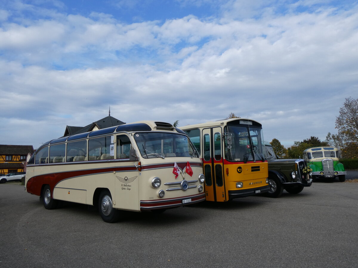 (268'736) - Aus der Schweiz: Ballestraz, Grne - VS 11'615 - Saurer/Saurer (ex Girardet, Yverdon) am 27. Oktober 2024 in Kintzheim, Cigoland