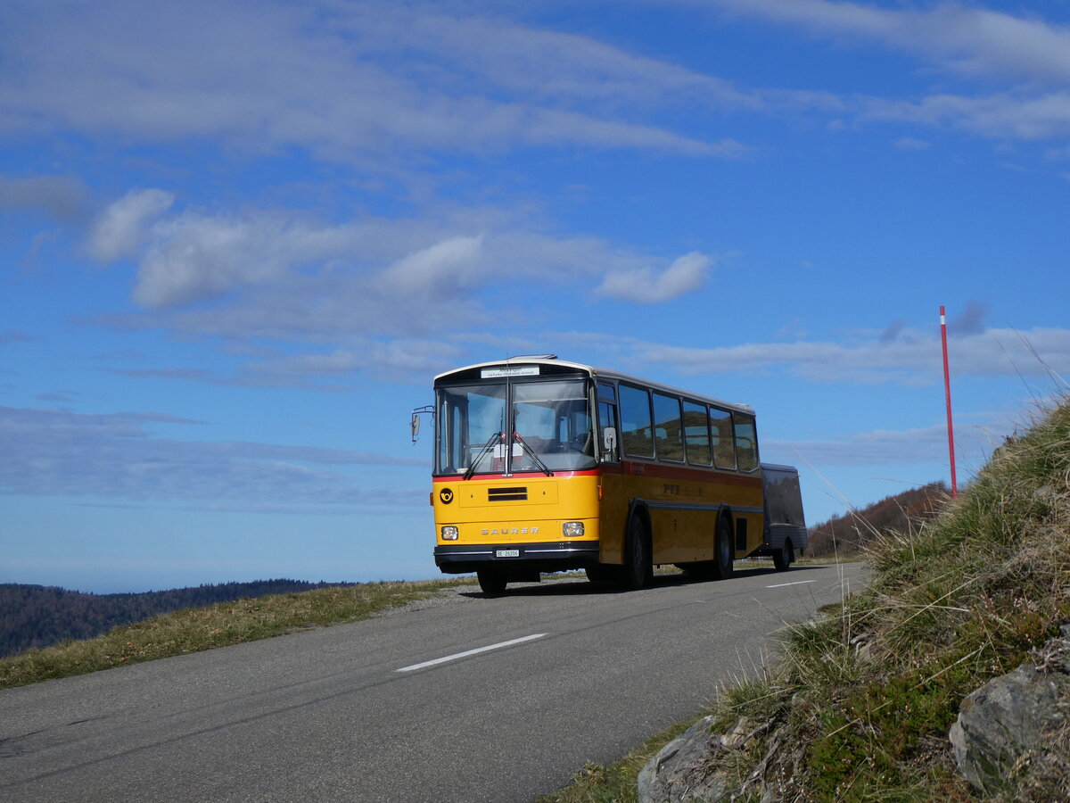 (268'757) - Aus der Schweiz: Schmid, Thrishaus - BE 26'206 - Saurer/Tscher (ex P 24'244) am 27. Oktober 2024 bei Rothenbach