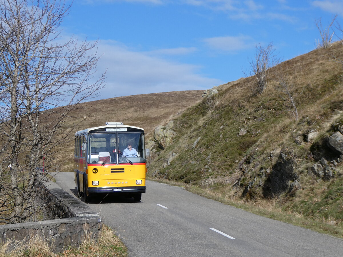 (268'761) - Aus der Schweiz: Schmid, Thrishaus - BE 26'206 - Saurer/Tscher (ex P 24'244) am 27. Oktober 2024 bei Rothenbach