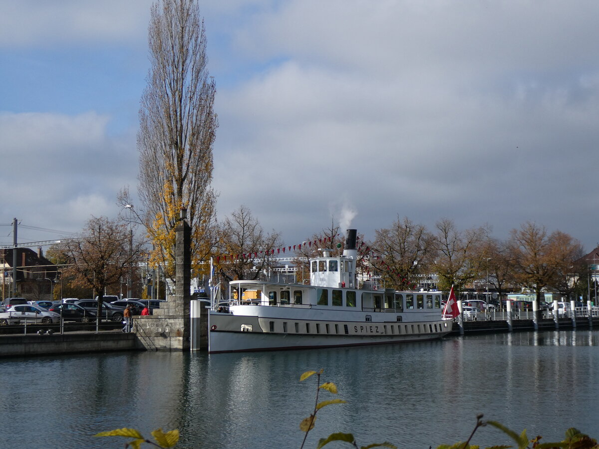 (268'942) - Dampfschiff Spiez am 3. November 2024 an der Schiffl�ndte Thun