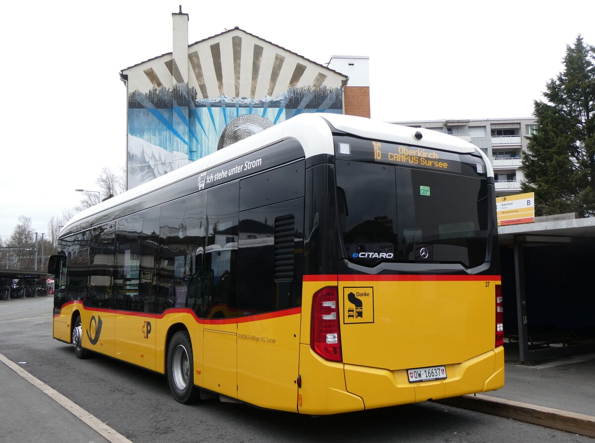 (269'771) - Hfliger, Sursee - Nr. 37/OW 16'637/PID 12'021 - eMercedes (ex vermietet an PostAuto Zentralschweiz Nr. 537) am 10. Dezember 2024 beim Bahnhof Sursee