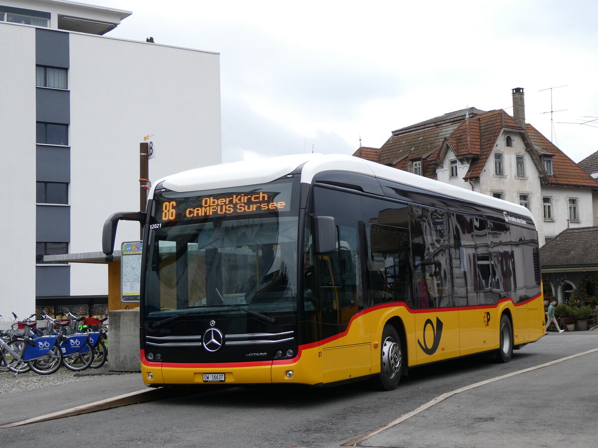 (269'774) - Hfliger, Sursee - Nr. 37/OW 16'637/PID 12'021 - eMercedes (ex vermietet an PostAuto Zentralschweiz Nr. 537) am 10. Dezember 2024 beim Bahnhof Sursee