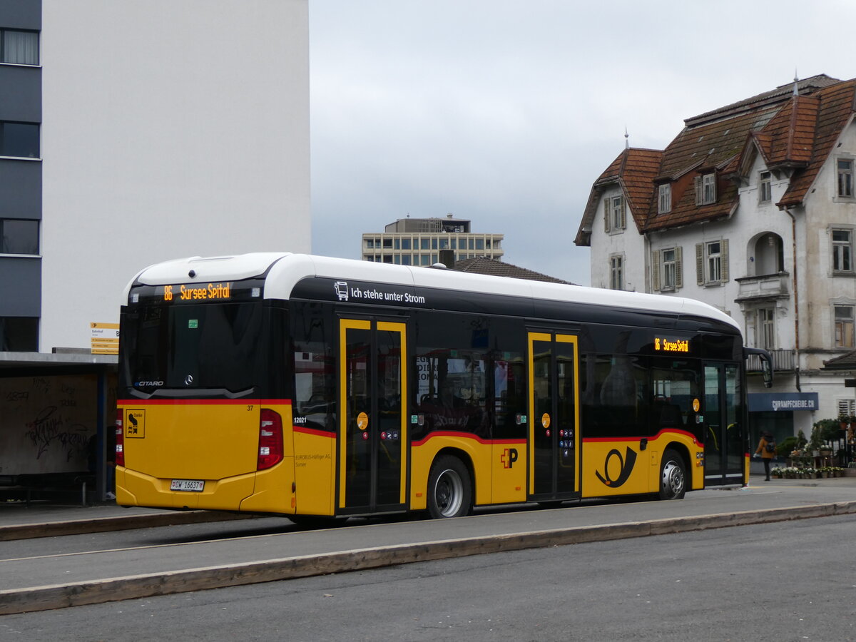 (269'776) - Hfliger, Sursee - Nr. 37/OW 16'637/PID 12'021 - eMercedes (ex vermietet an PostAuto Zentralschweiz Nr. 537) am 10. Dezember 2024 beim Bahnhof Sursee