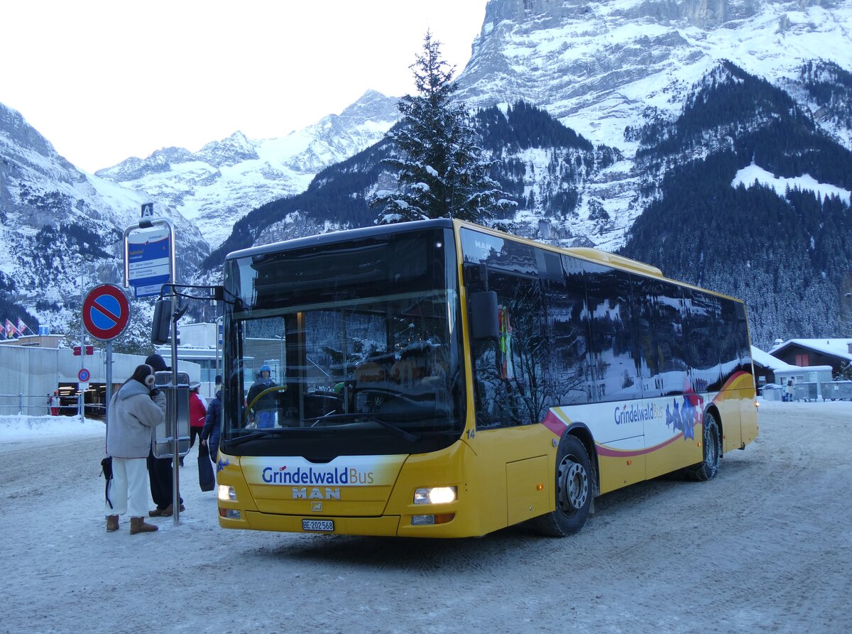 (270'324) - GrindelwaldBus, Grindelwald - Nr. 14/BE 202'568 - MAN/Gppel am 29. Dezember 2024 beim Bahnhof Grindelwald