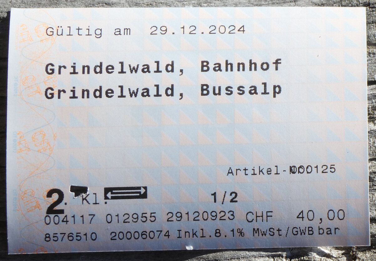 (270'347) - GrindelwaldBus-Einzelbillet vom 29. Dezember 2024 am 29. Dezember 2024 auf der Bussalp