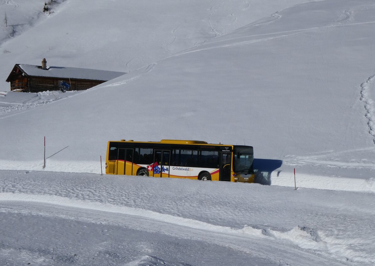 (270'363) - GrindelwaldBus, Grindelwald - Nr. 14/BE 202'568 - MAN/Gppel am 29. Dezember 2024 auf der Bussalp