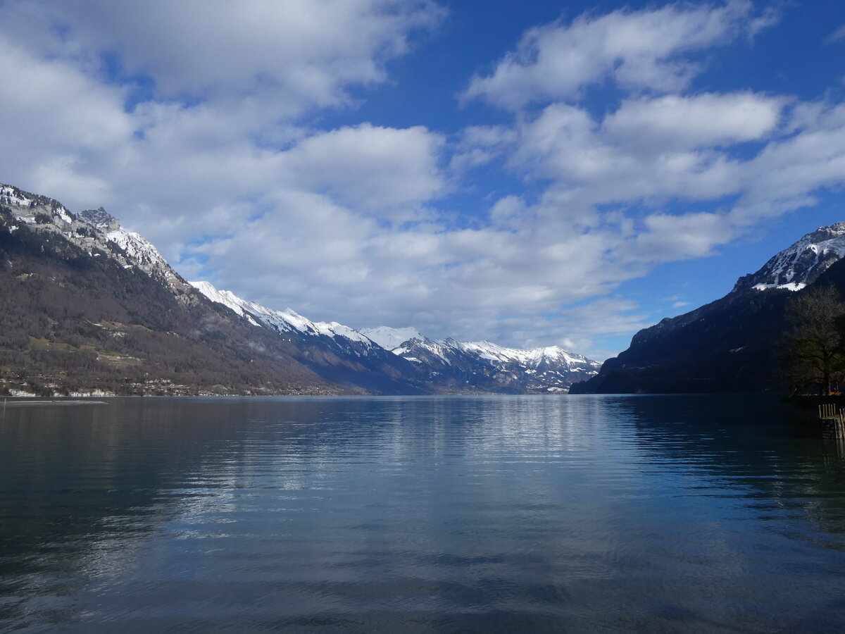 (270'733) - Der Brienzersee am 7. Januar 2025 von B�nigen aus