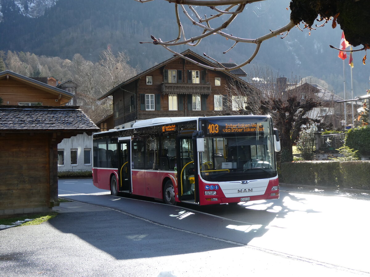 (270'739) - PostAuto Bern - BE 403'166/PID 12'336 - MAN (ex Dr. Richard, A-Wien Nr. 1411) am 7. Januar 2025 in Bnigen, See