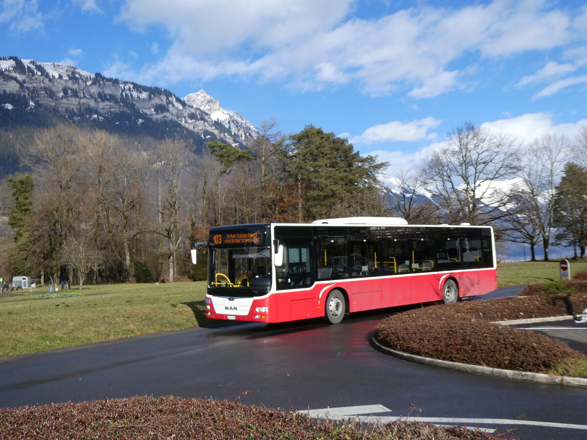 (270'740) - PostAuto Bern - BE 403'166/PID 12'336 - MAN (ex Dr. Richard, A-Wien Nr. 1411) am 7. Januar 2025 in Bnigen, in den Grten