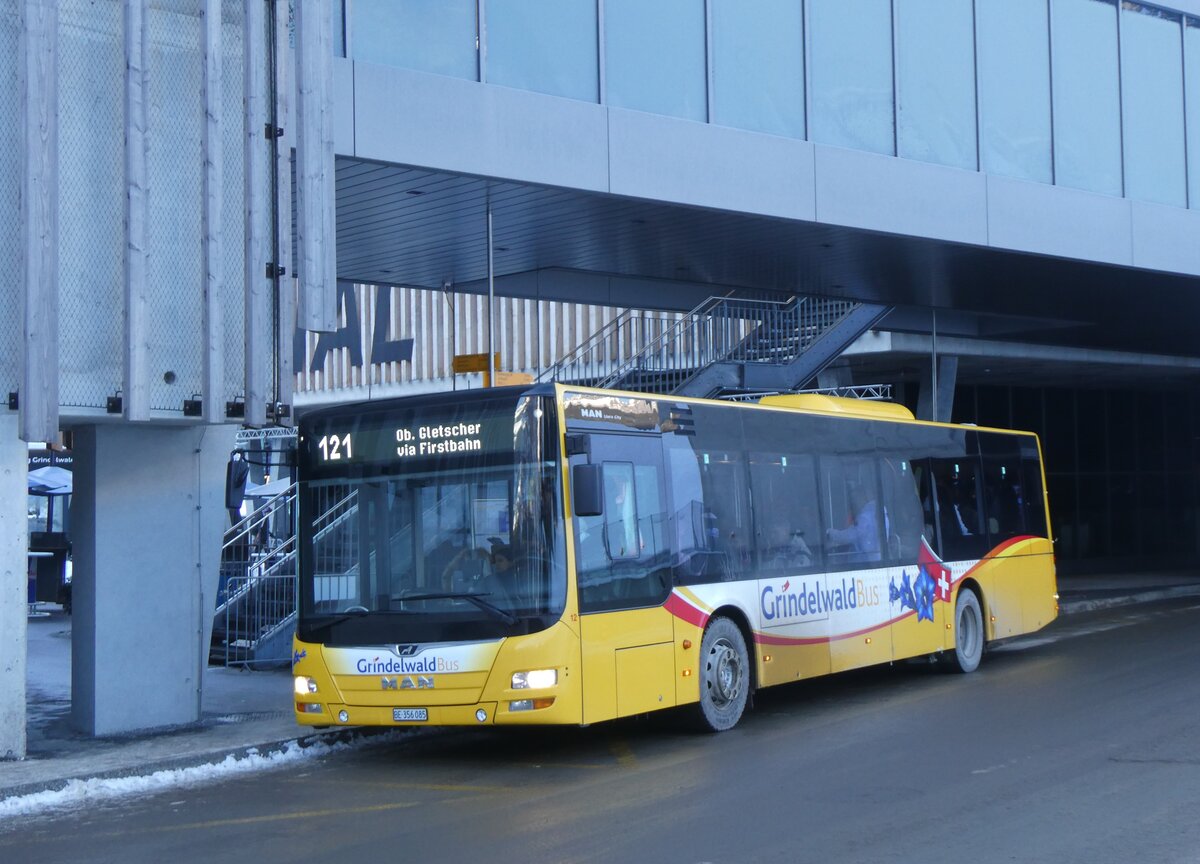 (271'286) - GrindelwaldBus, Grindelwald - Nr. 12/BE 356'085 - MAN am 18. Januar 2025 in Grindelwald, Terminal