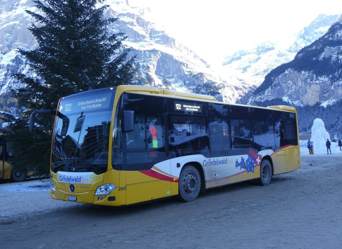 (271'303) - GrindelwaldBus, Grindelwald - Nr. 202/BE 908'202 - Mercedes am 18. Januar 2025 beim Bahnhof Grindelwald