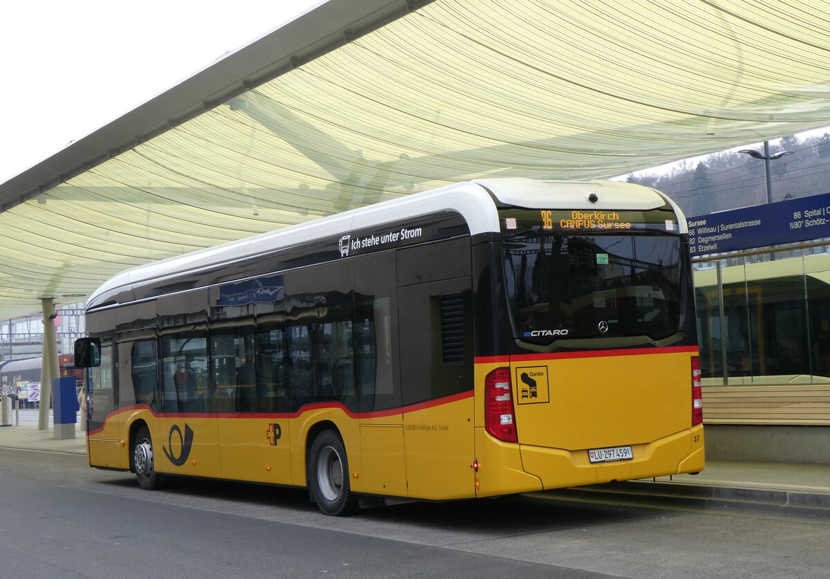 (271'689) - Hfliger, Sursee - Nr. 37/LU 297'459/PID 12'021 - eMercedes (ex vermietet an PostAuto Zentralschweiz Nr. 537) am 7. Februar 2025 beim Bahnhof Sursee