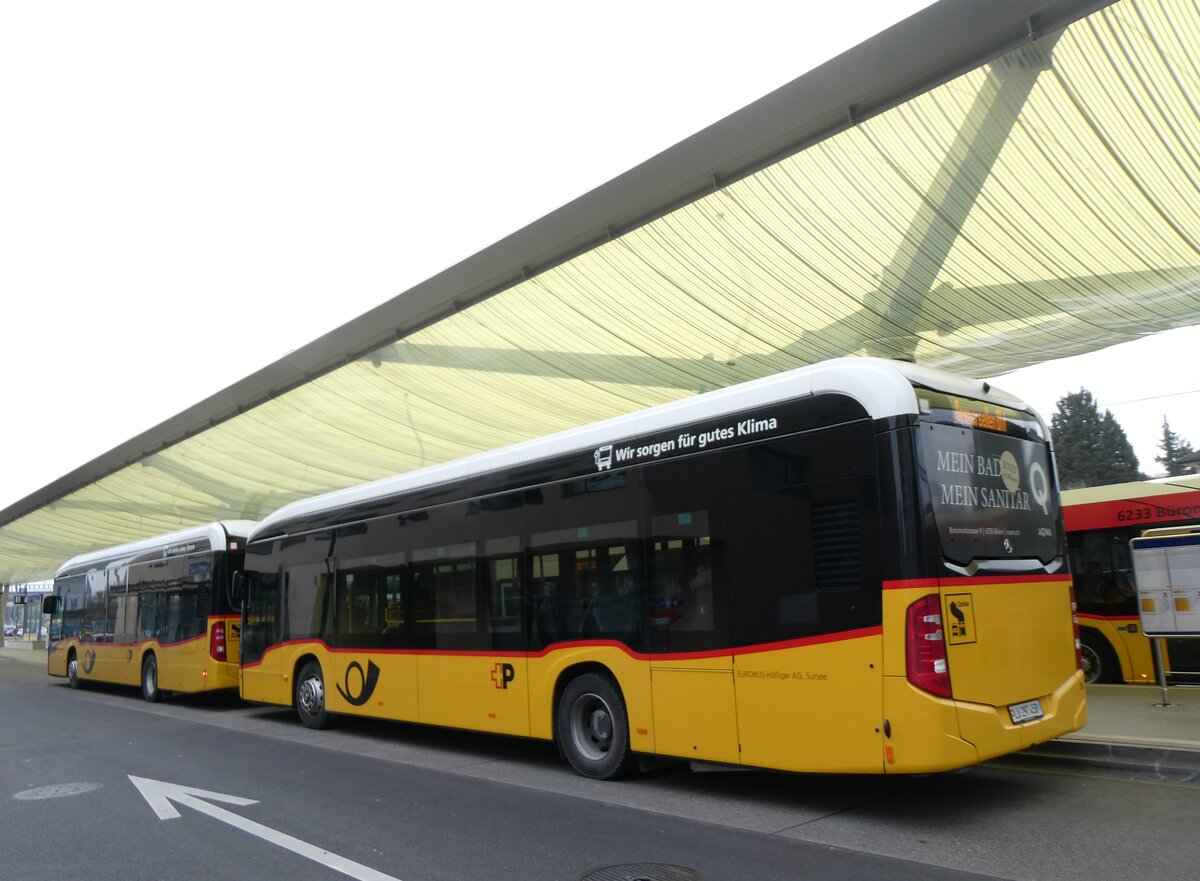 (271'692) - Hfliger, Sursee - Nr. 36/LU 297'458/PID 12'020 - eMercedes (ex vermietet an PostAuto Zentralschweiz Nr. 568) am 7. Februar 2025 beim Bahnhof Sursee