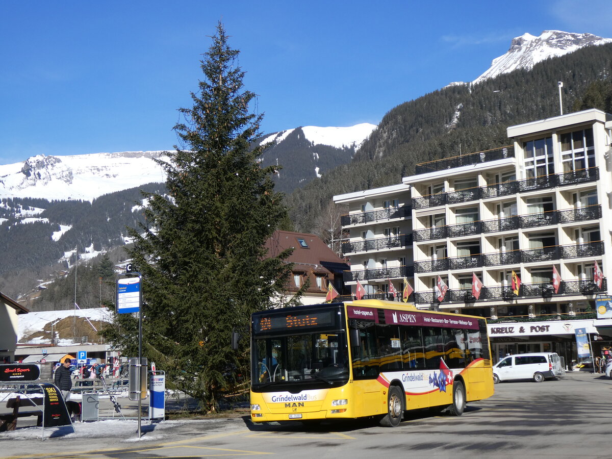 (272'163) - GrindelwaldBus, Grindelwald - Nr. 23/BE 70'397 - MAN am 17. Februar 2025 beim Bahnhof Grindelwald