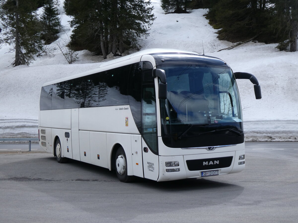 (273'215) - Aus Kroatien: Baltik, Samobor - SB 1313-TT - MAN am 27. Mrz 2025 in Col du Pillon, Glacier 3000