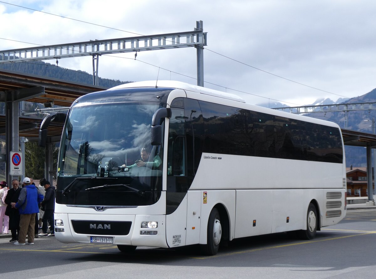 (273'238) - Aus Kroatien: Baltik, Samobor - SB 1313-TT - MAN am 27. Mrz 2025 beim Bahnhof Gstaad