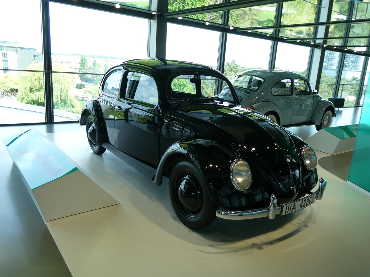 (274'898) - VW-K�fer - IIIA 42'802 - am 7. Mai 2025 in Wolfsburg, Autostadt