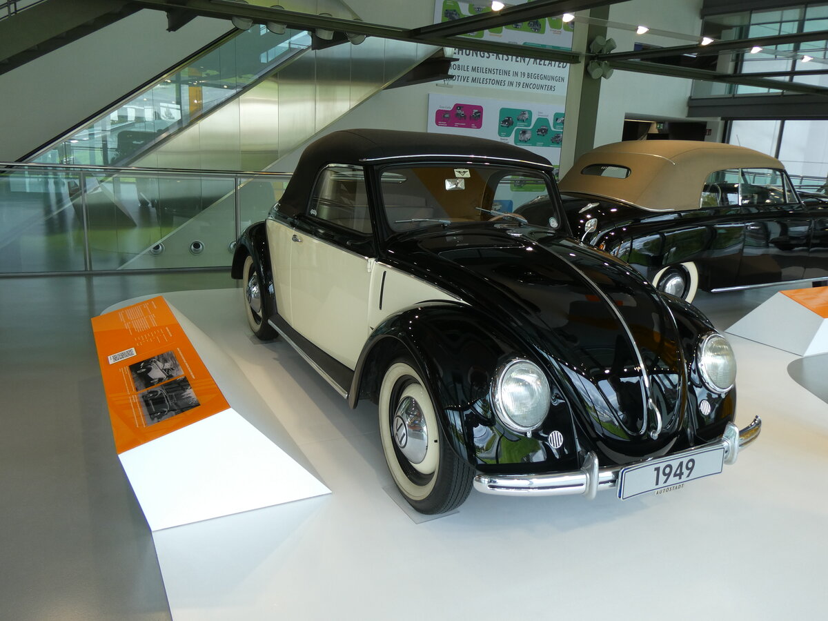 (274'951) - VW-K�fer - Jahrgang 1949 - am 7. Mai 2025 in Wolfsburg, Autostadt