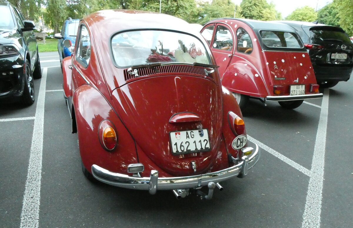 (278'250) - VW-K�fer - AG 162'112 - am 30. Juli 2025 in Thun, Lachen