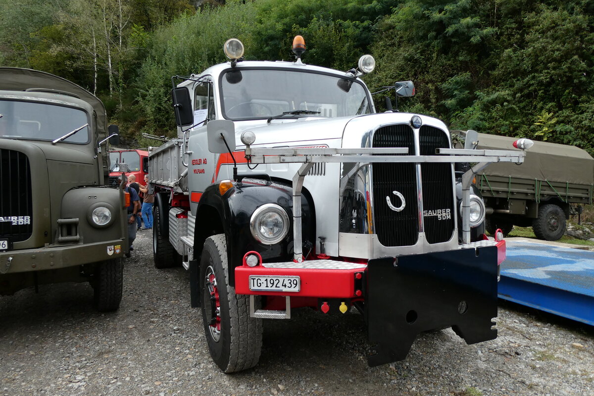 (280'364) - Kessler, Wolfgang - TG 192'439 - Saurer am 13. September 2025 in Iragna, Riviera
