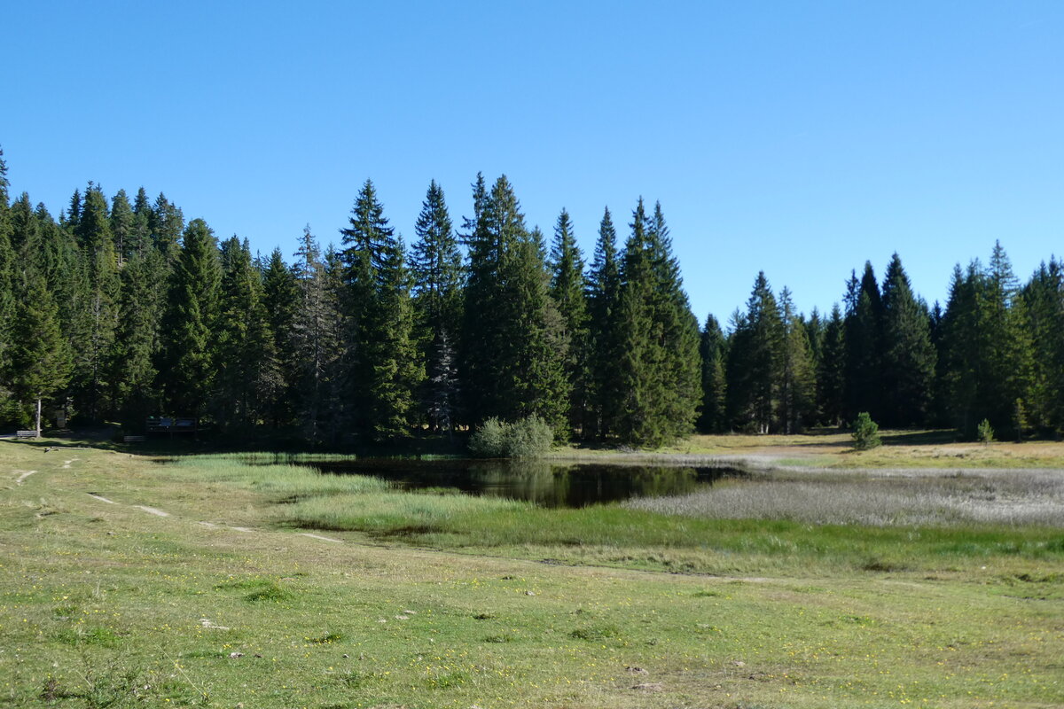 (280'516) - Wald und Seelein auf der Wildmoosalm am 18. September 2025 bei Seefeld