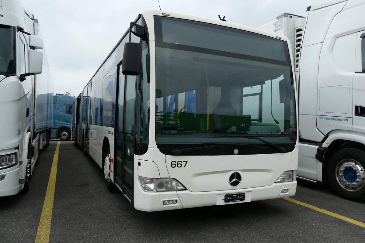 281'291) - Intertours, Domdidier - Nr. 667 - Mercedes (ex Nr. 666; ex STI Thun Nr. 137) am 11. Oktober 2025 in Kerzers, Interbus