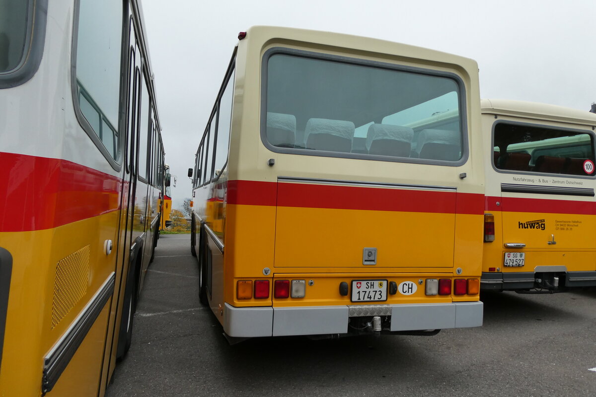 (281'371) - Ruklic, Schaffhausen - SH 17'473 - Saurer/Tscher (ex Schett, Sargans PID 2762) am 12. Oktober 2025 in Schwarzenberg, Rssli