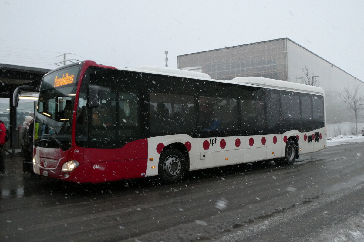 (283'816) - TPF Fribourg (Wieland (77) . Nr. 613/FR 300'242 - Mercedes am 10. Januar 2026 beim Bahnhof Frutigen 