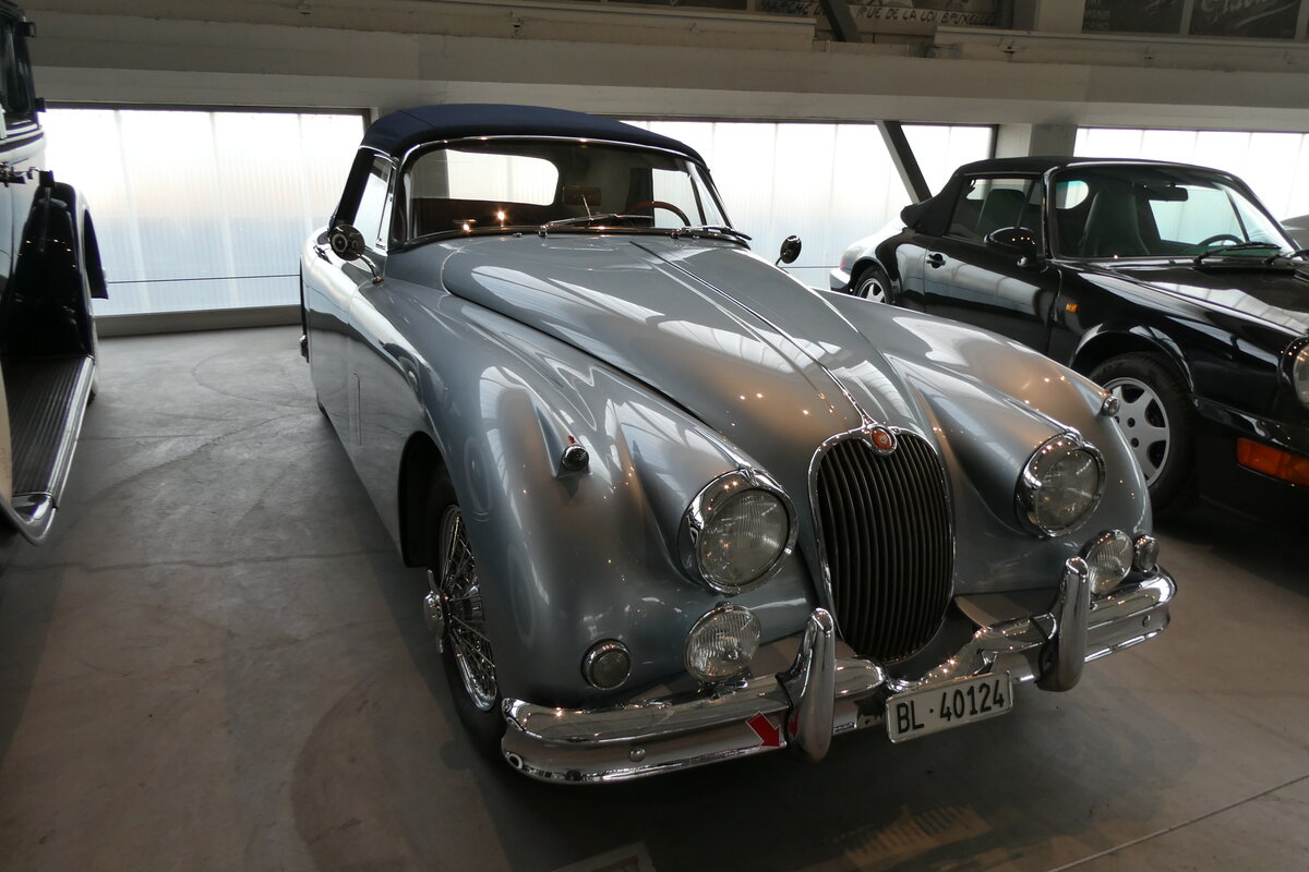 (286'172) - Jaguar - BL 40'124 - am 16. April 2026 in Muttenz, Pantheon