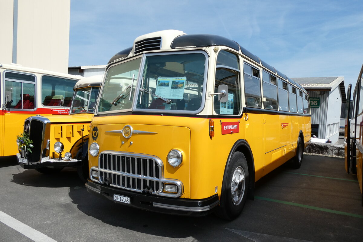 (286'621) - Goldexpress, Ossingen - ZH 14'148 - FBW/Lauber (ex P 24'069; ex P 21'569) am 2. Mai 2026 in Attikon, Wegm�ller